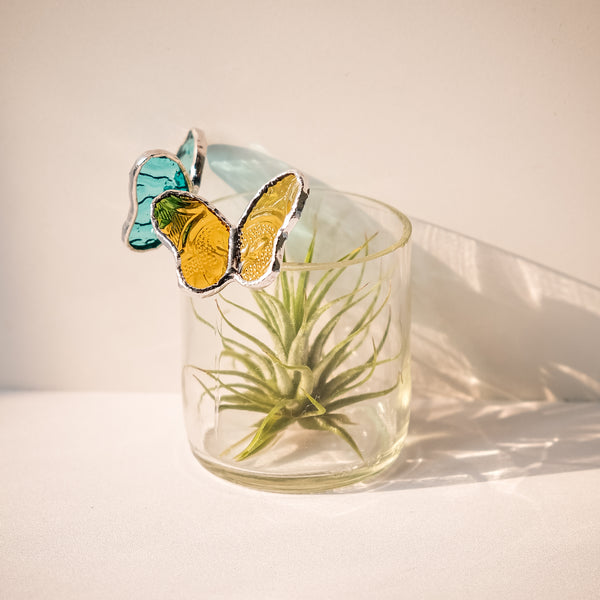 ⭐️雙蝶再生花瓶